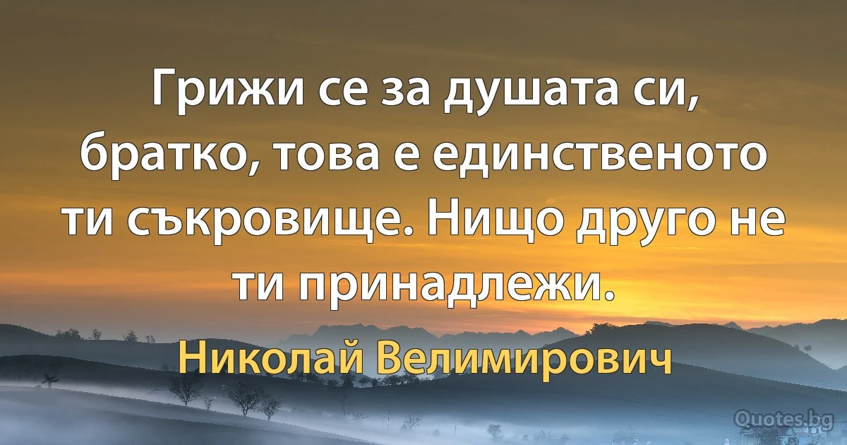 Грижи се за душата си, братко, това е единственото ти съкровище. Нищо друго не ти принадлежи. (Николай Велимирович)