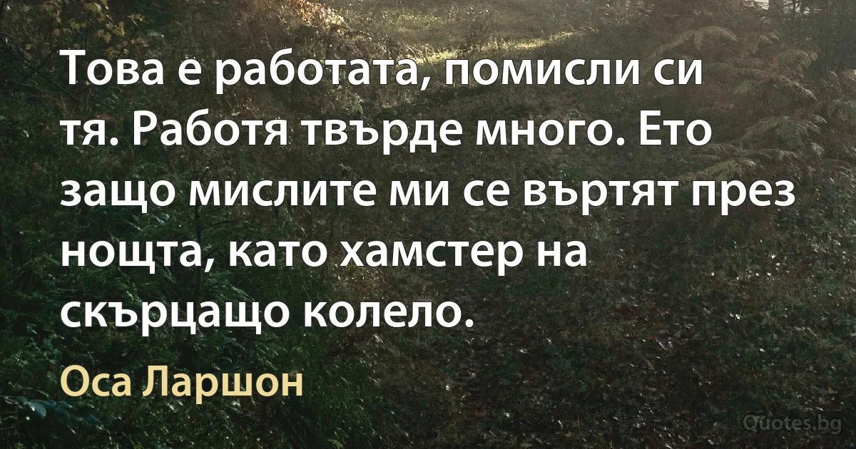 Това е работата, помисли си тя. Работя твърде много. Ето защо мислите ми се въртят през нощта, като хамстер на скърцащо колело. (Оса Ларшон)