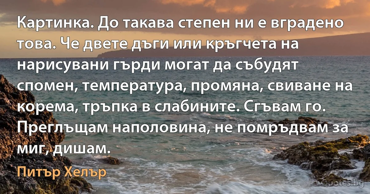 Картинка. До такава степен ни е вградено това. Че двете дъги или кръгчета на нарисувани гърди могат да събудят спомен, температура, промяна, свиване на корема, тръпка в слабините. Сгъвам го. Преглъщам наполовина, не помръдвам за миг, дишам. (Питър Хелър)