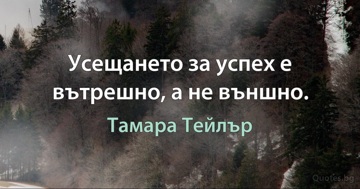 Усещането за успех е вътрешно, а не външно. (Тамара Тейлър)