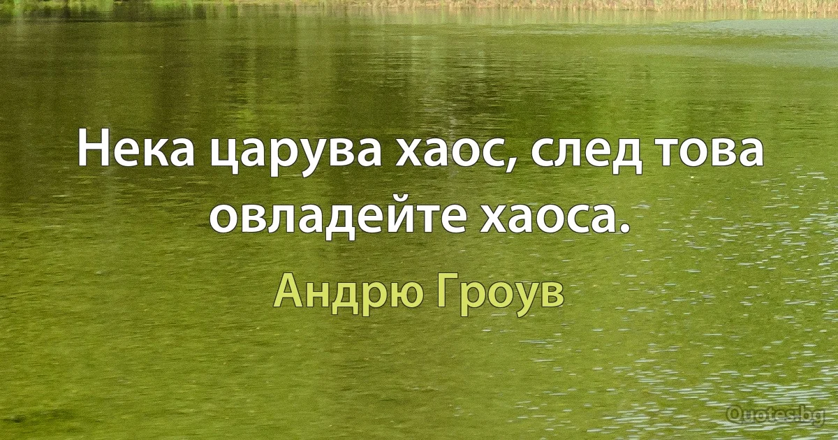 Нека царува хаос, след това овладейте хаоса. (Андрю Гроув)