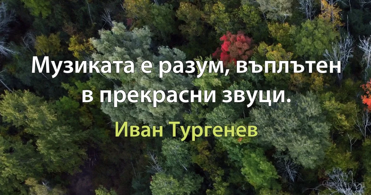 Музиката е разум, въплътен в прекрасни звуци. (Иван Тургенев)