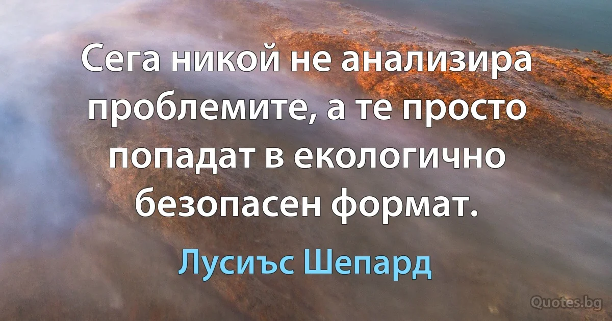 Сега никой не анализира проблемите, а те просто попадат в екологично безопасен формат. (Лусиъс Шепард)