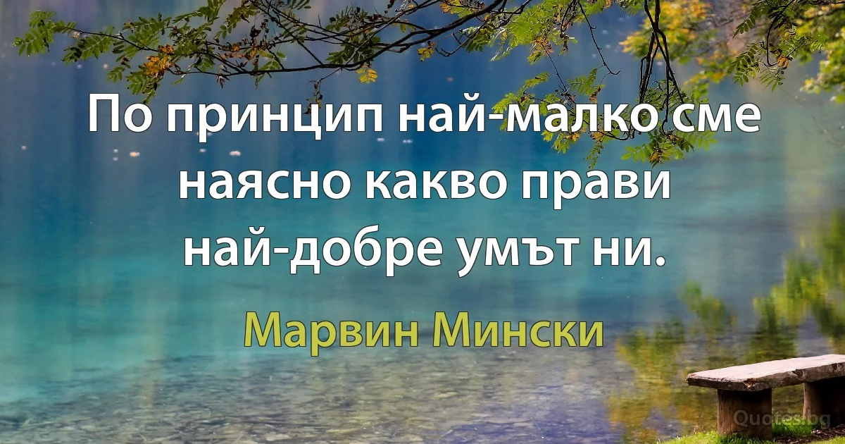 По принцип най-малко сме наясно какво прави най-добре умът ни. (Марвин Мински)