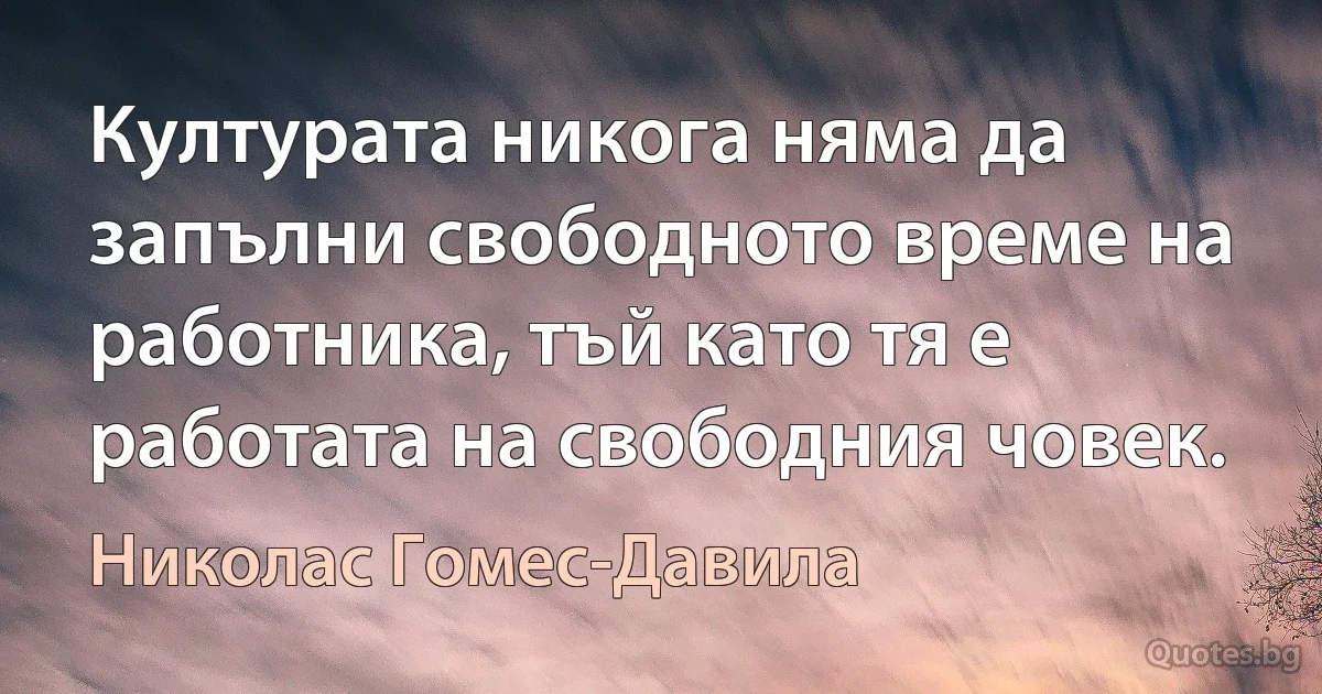 Културата никога няма да запълни свободното време на работника, тъй като тя е работата на свободния човек. (Николас Гомес-Давила)