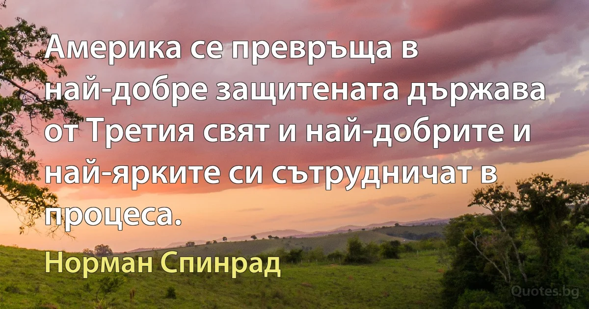 Америка се превръща в най-добре защитената държава от Третия свят и най-добрите и най-ярките си сътрудничат в процеса. (Норман Спинрад)