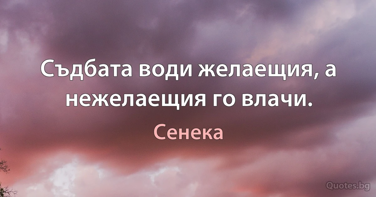 Съдбата води желаещия, а нежелаещия го влачи. (Сенека)