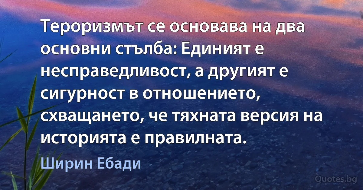 Тероризмът се основава на два основни стълба: Единият е несправедливост, а другият е сигурност в отношението, схващането, че тяхната версия на историята е правилната. (Ширин Ебади)