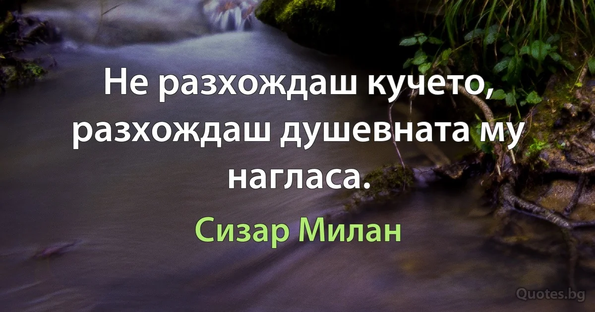 Не разхождаш кучето, разхождаш душевната му нагласа. (Сизар Милан)