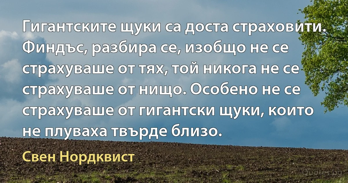 Гигантските щуки са доста страховити. Финдъс, разбира се, изобщо не се страхуваше от тях, той никога не се страхуваше от нищо. Особено не се страхуваше от гигантски щуки, които не плуваха твърде близо. (Свен Нордквист)