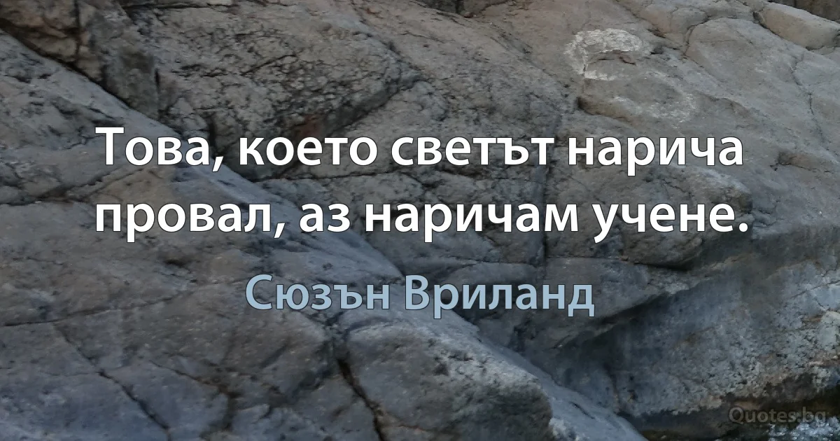 Това, което светът нарича провал, аз наричам учене. (Сюзън Вриланд)