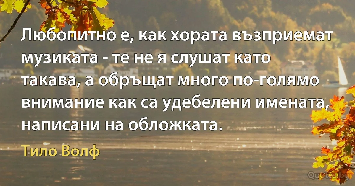 Любопитно е, как хората възприемат музиката - те не я слушат като такава, а обръщат много по-голямо внимание как са удебелени имената, написани на обложката. (Тило Волф)