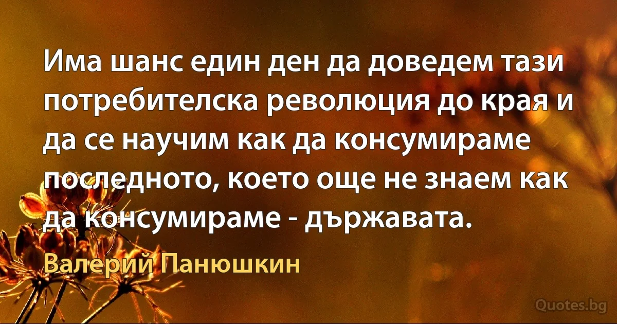 Има шанс един ден да доведем тази потребителска революция до края и да се научим как да консумираме последното, което още не знаем как да консумираме - държавата. (Валерий Панюшкин)