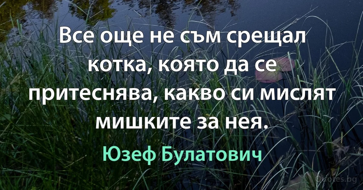 Все още не съм срещал котка, която да се притеснява, какво си мислят мишките за нея. (Юзеф Булатович)