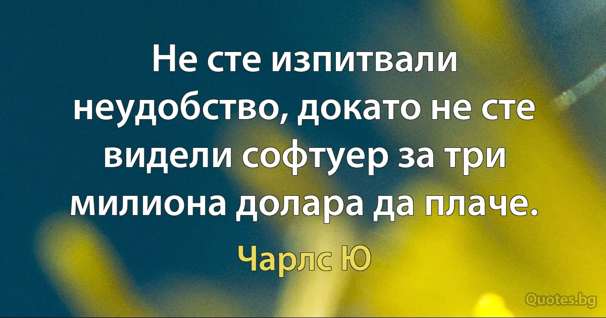 Не сте изпитвали неудобство, докато не сте видели софтуер за три милиона долара да плаче. (Чарлс Ю)