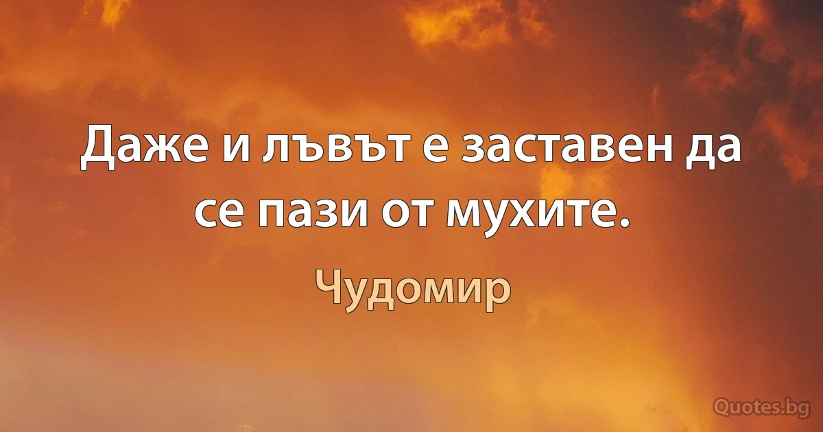 Даже и лъвът е заставен да се пази от мухите. (Чудомир)