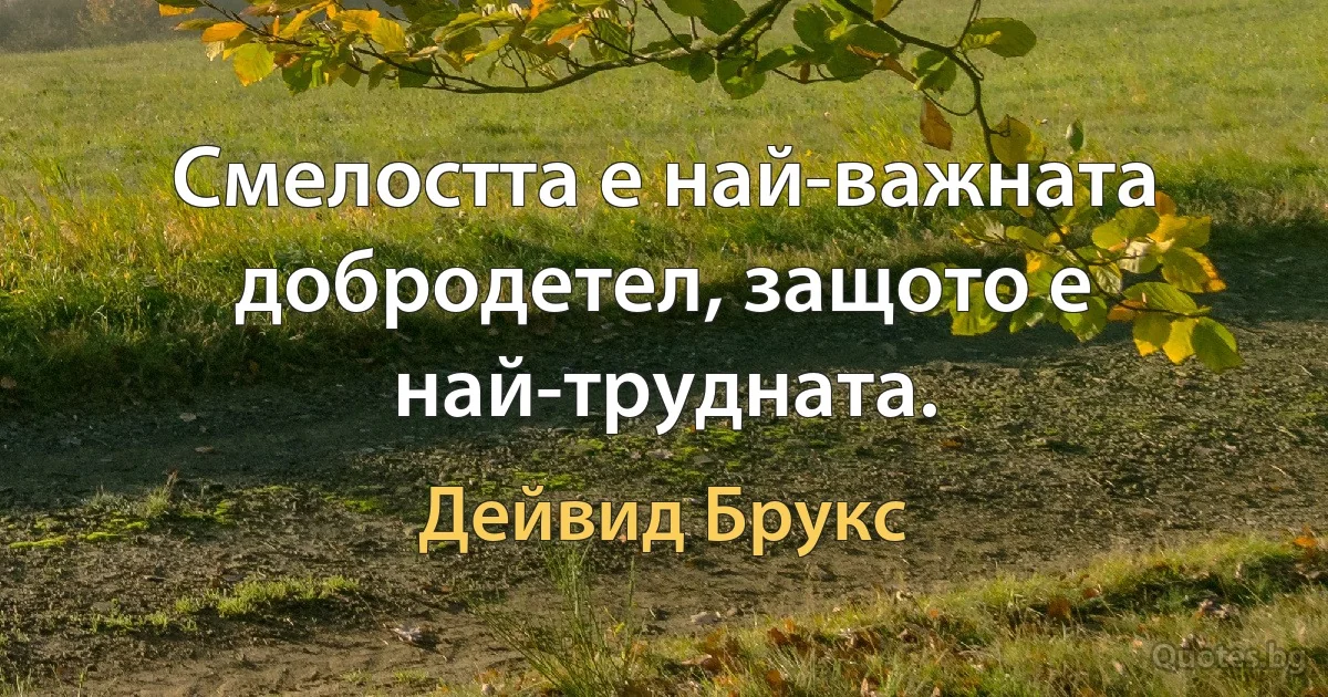 Смелостта е най-важната добродетел, защото е най-трудната. (Дейвид Брукс)