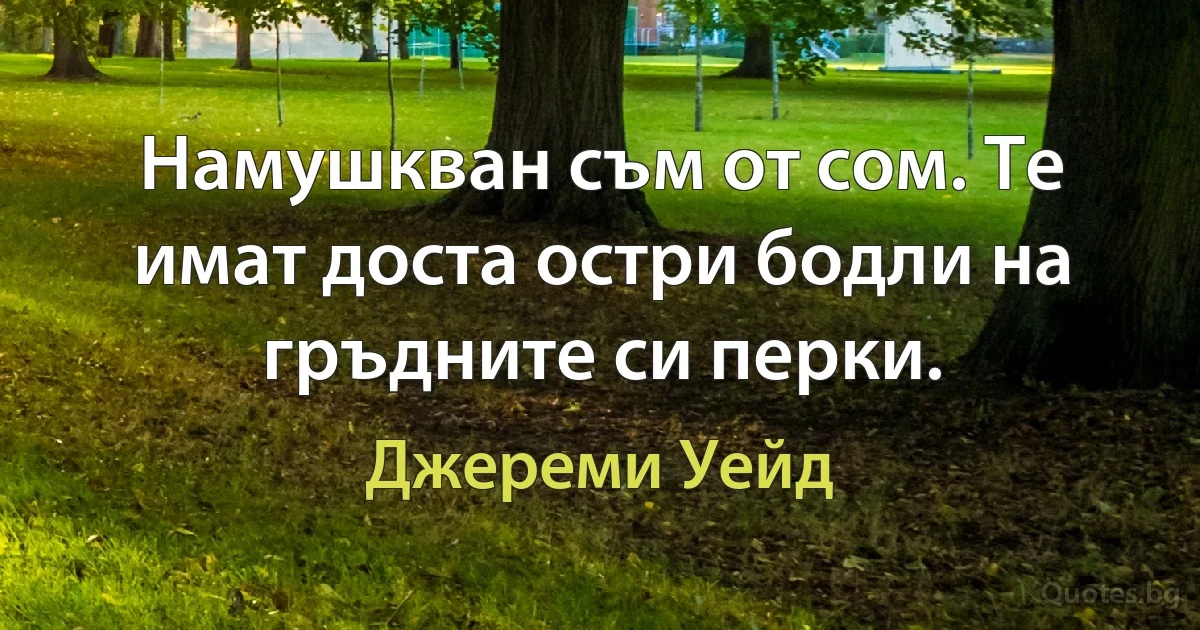 Намушкван съм от сом. Те имат доста остри бодли на гръдните си перки. (Джереми Уейд)