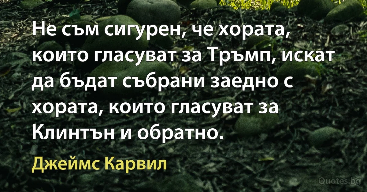 Не съм сигурен, че хората, които гласуват за Тръмп, искат да бъдат събрани заедно с хората, които гласуват за Клинтън и обратно. (Джеймс Карвил)