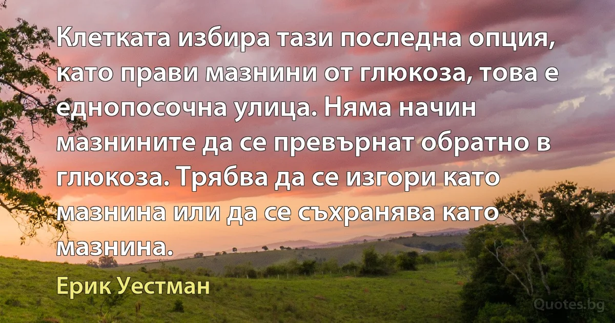 Клетката избира тази последна опция, като прави мазнини от глюкоза, това е еднопосочна улица. Няма начин мазнините да се превърнат обратно в глюкоза. Трябва да се изгори като мазнина или да се съхранява като мазнина. (Ерик Уестман)