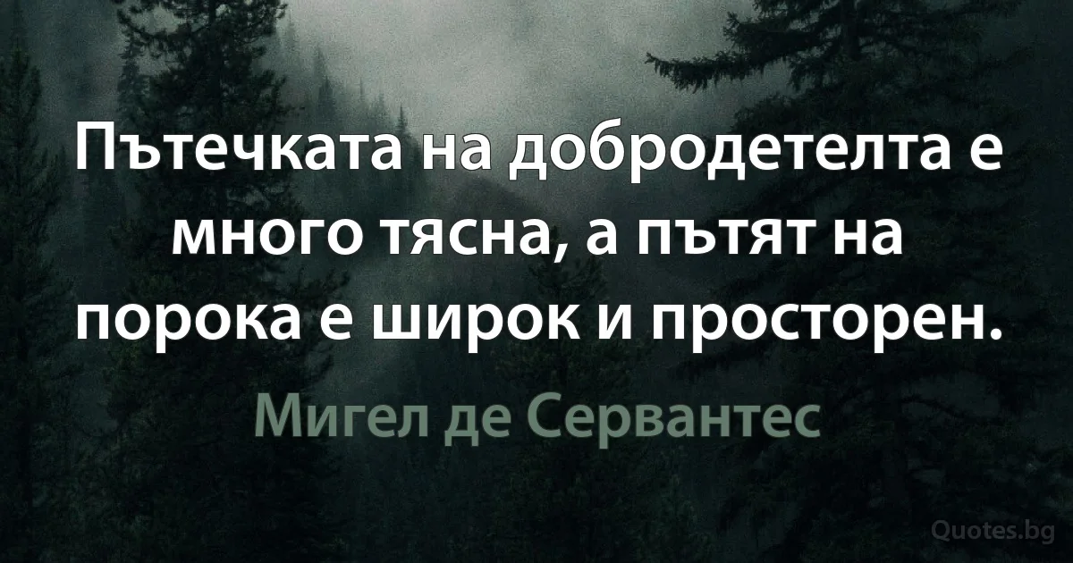 Пътечката на добродетелта е много тясна, а пътят на порока е широк и просторен. (Мигел де Сервантес)