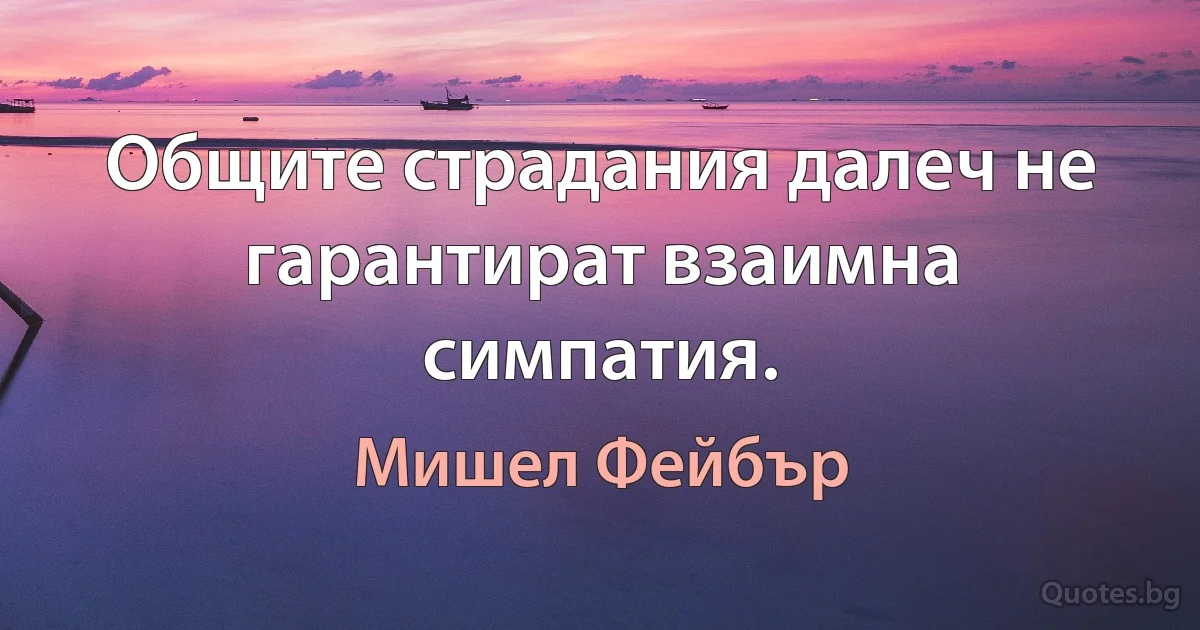 Общите страдания далеч не гарантират взаимна симпатия. (Мишел Фейбър)