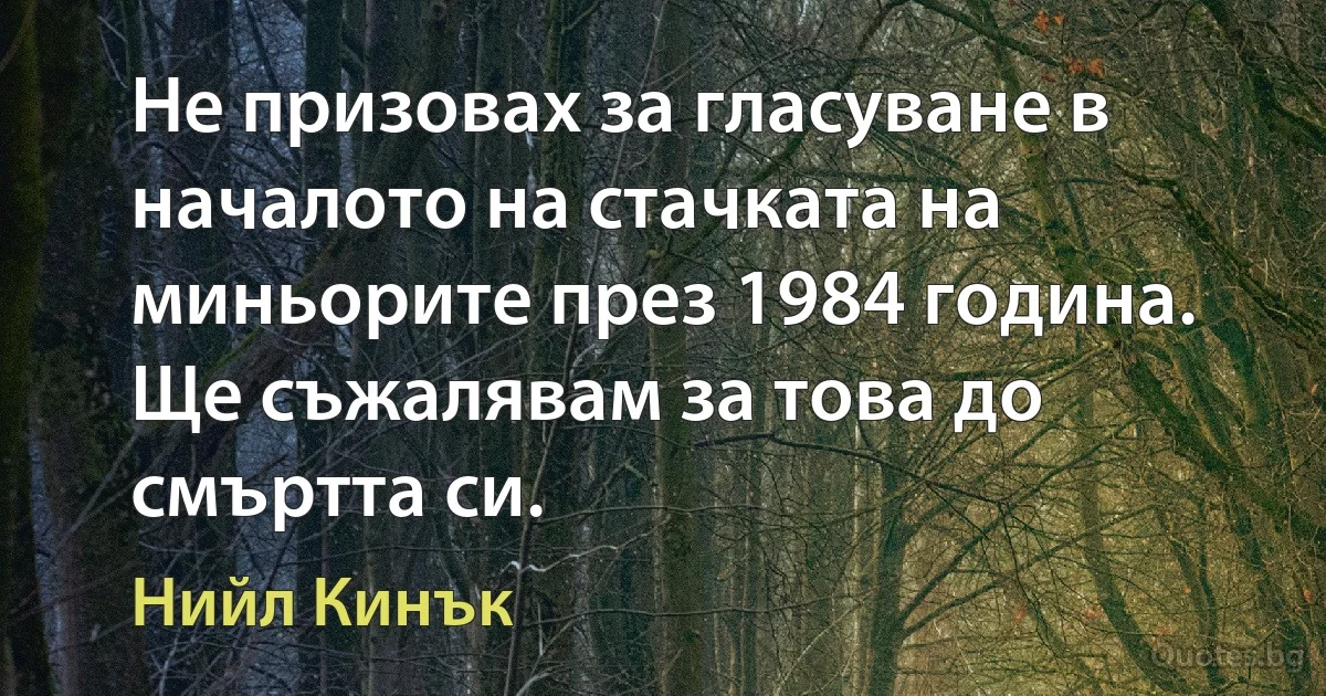 Не призовах за гласуване в началото на стачката на миньорите през 1984 година. Ще съжалявам за това до смъртта си. (Нийл Кинък)