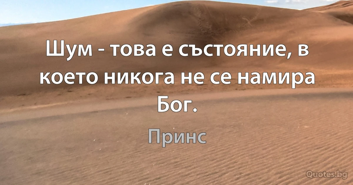 Шум - това е състояние, в което никога не се намира Бог. (Принс)