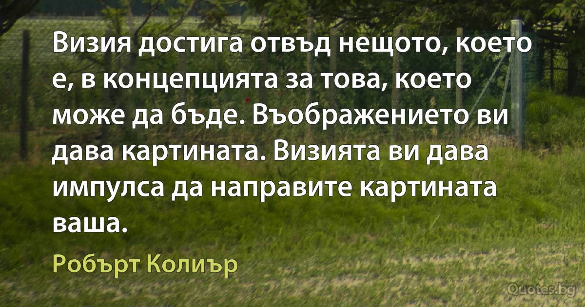 Визия достига отвъд нещото, което е, в концепцията за това, което може да бъде. Въображението ви дава картината. Визията ви дава импулса да направите картината ваша. (Робърт Колиър)