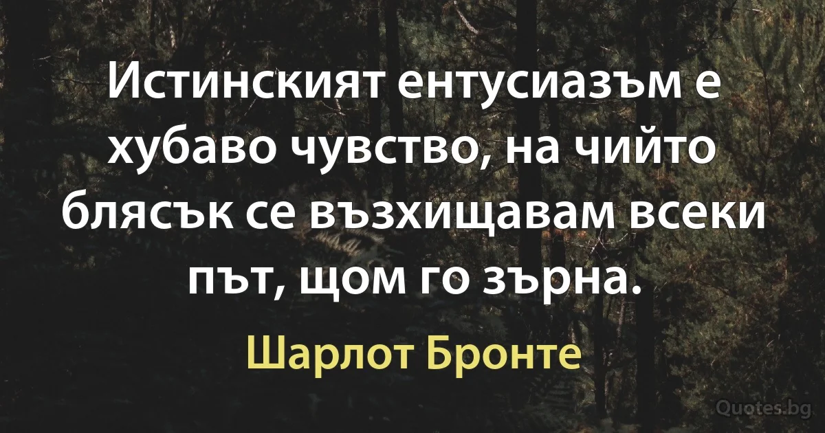 Истинският ентусиазъм е хубаво чувство, на чийто блясък се възхищавам всеки път, щом го зърна. (Шарлот Бронте)