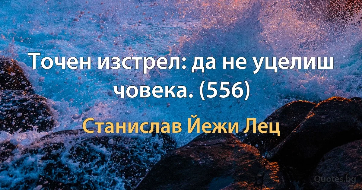 Точен изстрел: да не уцелиш човека. (556) (Станислав Йежи Лец)