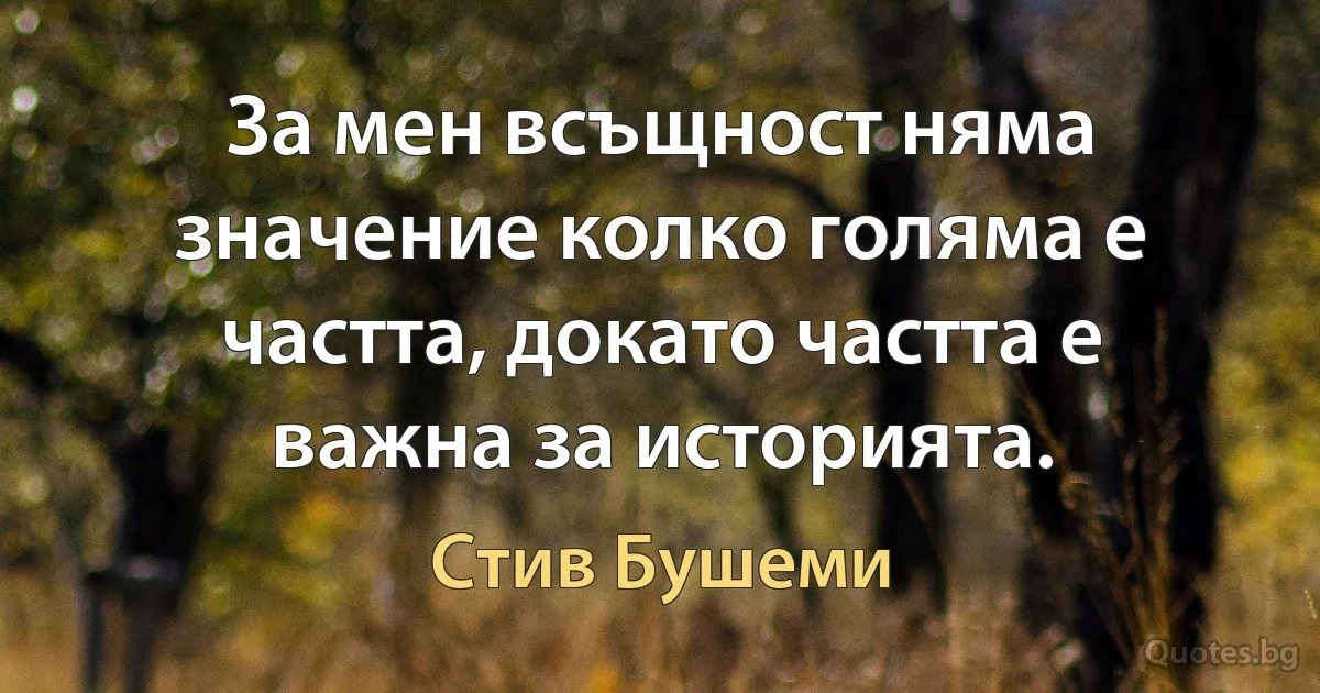 За мен всъщност няма значение колко голяма е частта, докато частта е важна за историята. (Стив Бушеми)