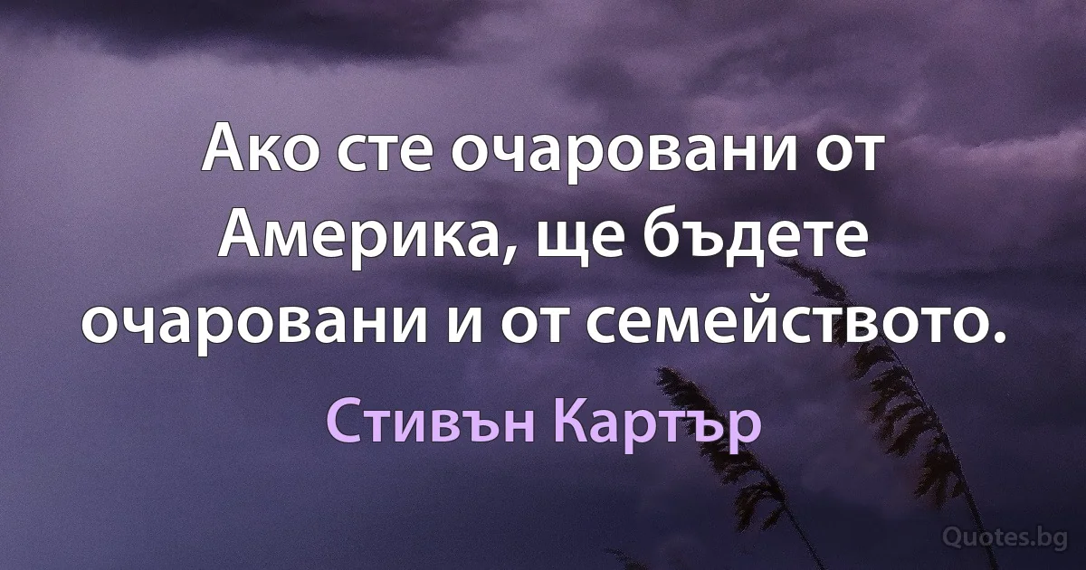 Ако сте очаровани от Америка, ще бъдете очаровани и от семейството. (Стивън Картър)