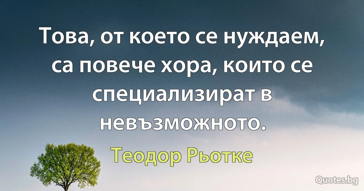 Това, от което се нуждаем, са повече хора, които се специализират в невъзможното. (Теодор Рьотке)