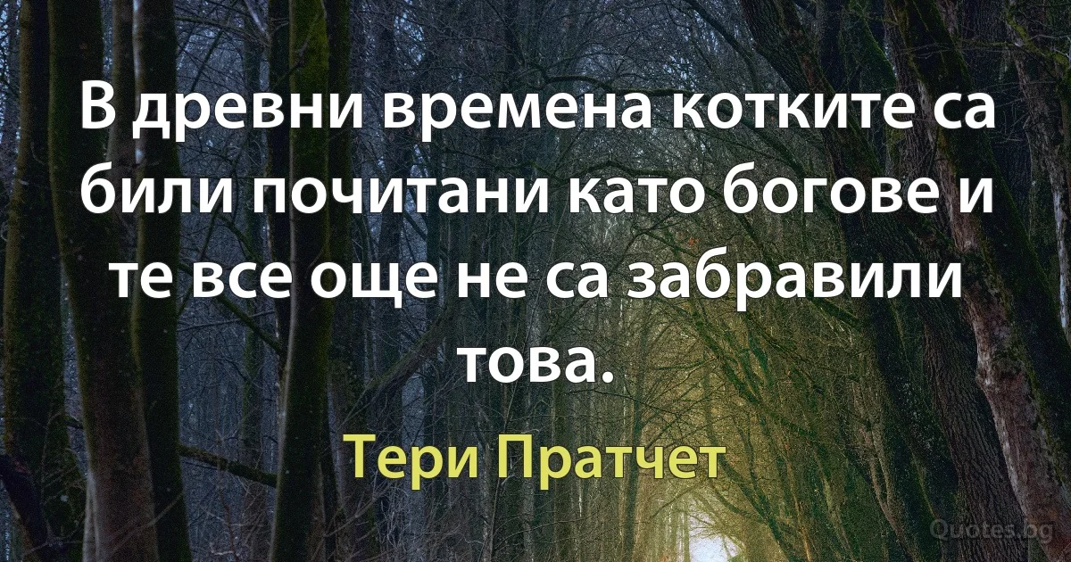 В древни времена котките са били почитани като богове и те все още не са забравили това. (Тери Пратчет)