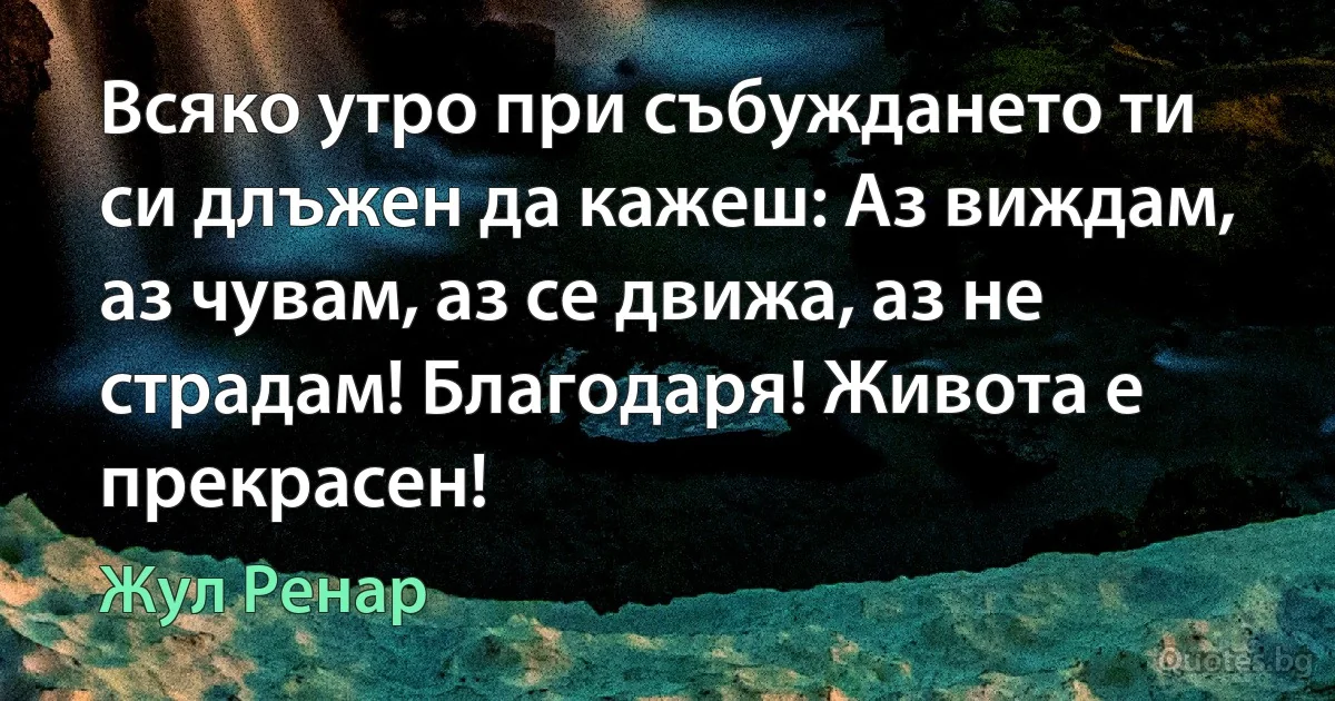 Всяко утро при събуждането ти си длъжен да кажеш: Аз виждам, аз чувам, аз се движа, аз не страдам! Благодаря! Живота е прекрасен! (Жул Ренар)