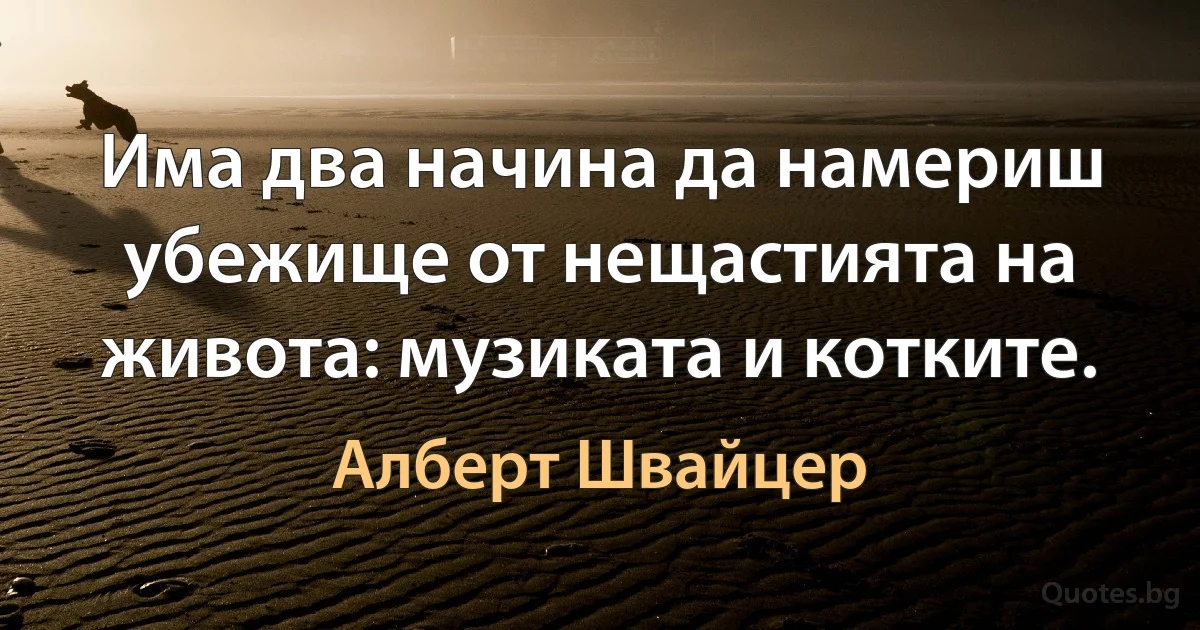 Има два начина да намериш убежище от нещастията на живота: музиката и котките. (Алберт Швайцер)