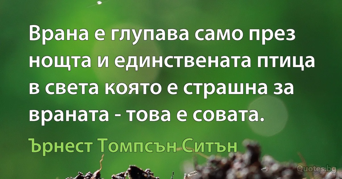 Врана е глупава само през нощта и единствената птица в света която е страшна за враната - това е совата. (Ърнест Томпсън Ситън)