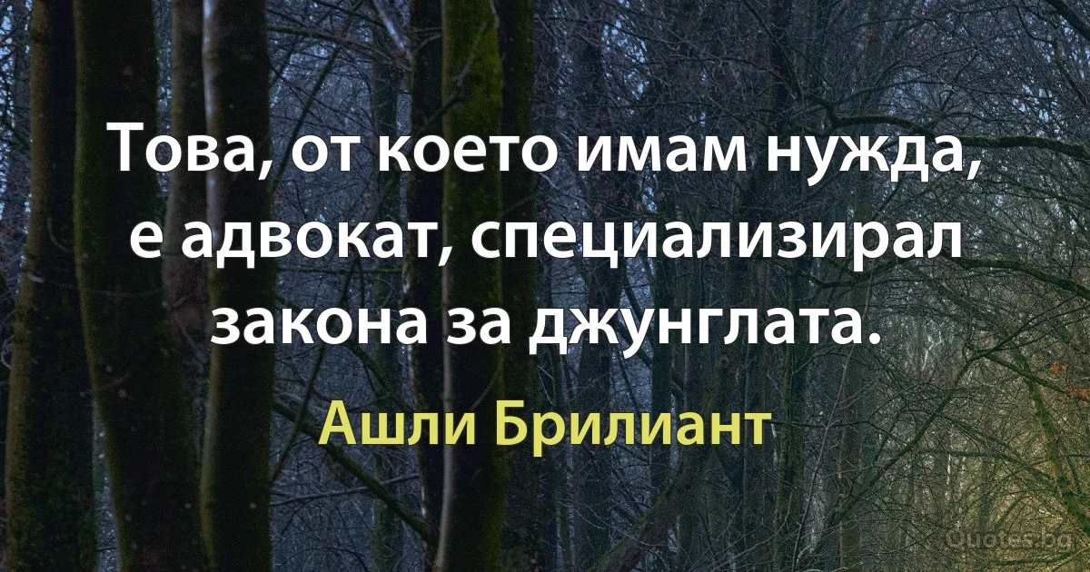 Това, от което имам нужда, е адвокат, специализирал закона за джунглата. (Ашли Брилиант)