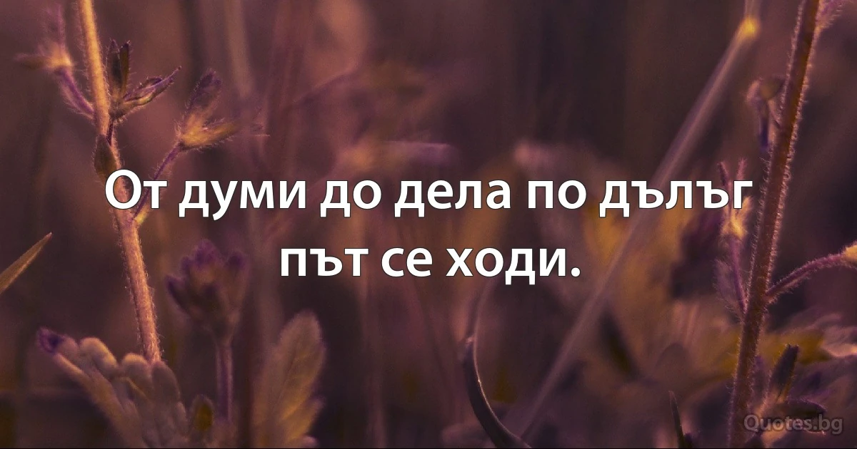 От думи до дела по дълъг път се ходи. (INZ BG)