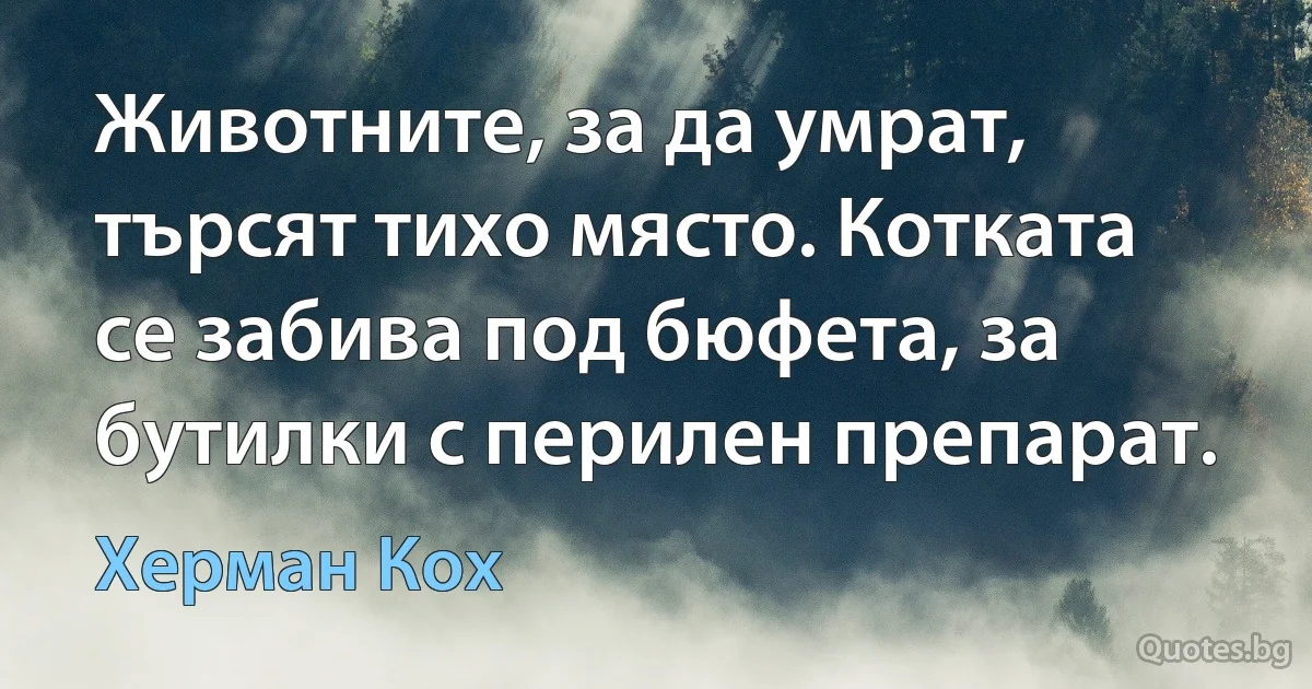 Животните, за да умрат, търсят тихо място. Котката се забива под бюфета, за бутилки с перилен препарат. (Херман Кох)