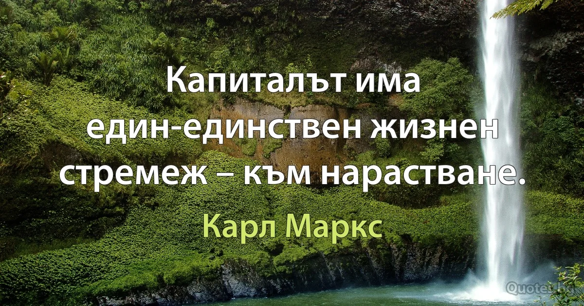 Капиталът има един-единствен жизнен стремеж – към нарастване. (Карл Маркс)