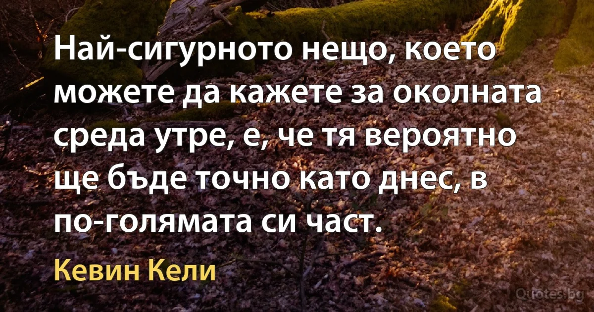 Най-сигурното нещо, което можете да кажете за околната среда утре, е, че тя вероятно ще бъде точно като днес, в по-голямата си част. (Кевин Кели)