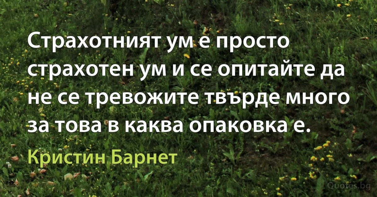 Страхотният ум е просто страхотен ум и се опитайте да не се тревожите твърде много за това в каква опаковка е. (Кристин Барнет)