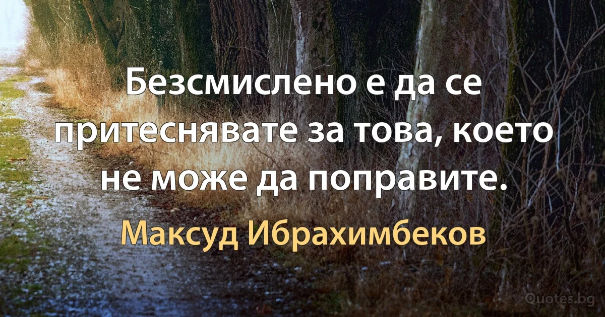 Безсмислено е да се притеснявате за това, което не може да поправите. (Максуд Ибрахимбеков)