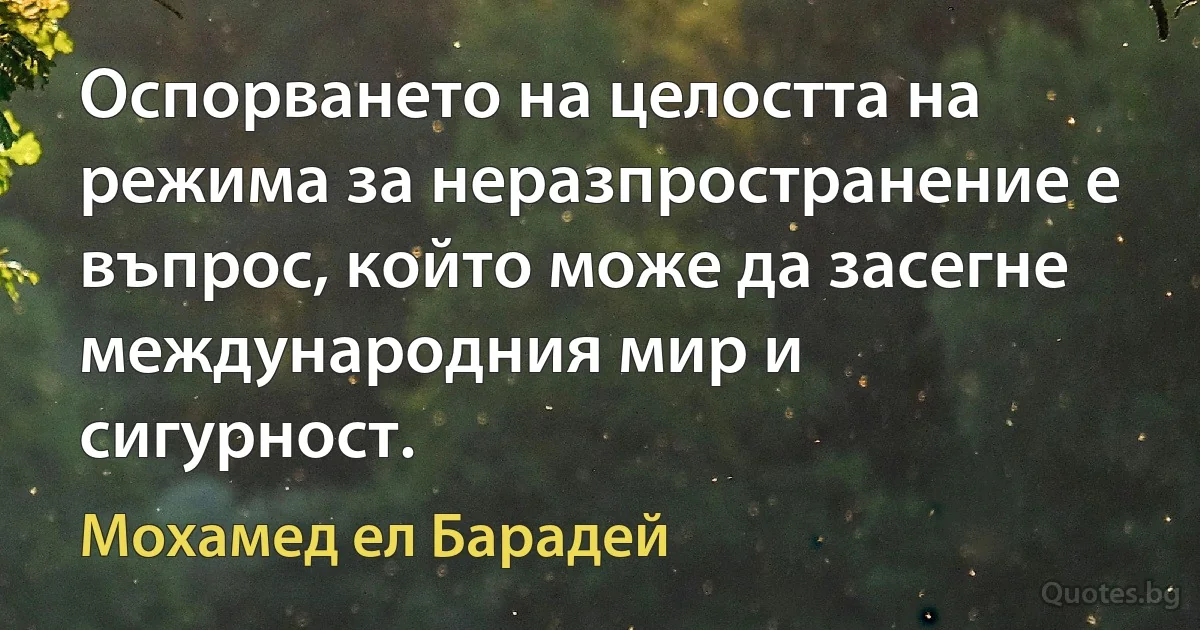 Оспорването на целостта на режима за неразпространение е въпрос, който може да засегне международния мир и сигурност. (Мохамед ел Барадей)