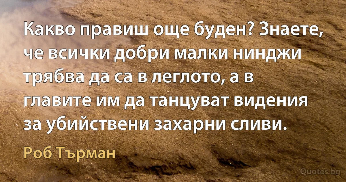 Какво правиш още буден? Знаете, че всички добри малки нинджи трябва да са в леглото, а в главите им да танцуват видения за убийствени захарни сливи. (Роб Търман)