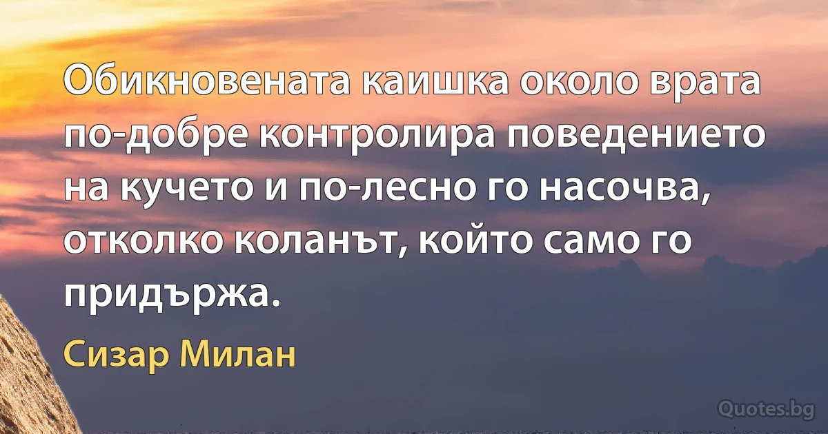 Обикновената каишка около врата по-добре контролира поведението на кучето и по-лесно го насочва, отколко коланът, който само го придържа. (Сизар Милан)