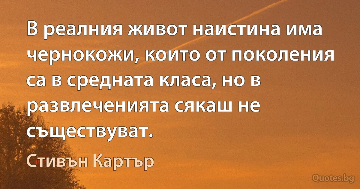 В реалния живот наистина има чернокожи, които от поколения са в средната класа, но в развлеченията сякаш не съществуват. (Стивън Картър)