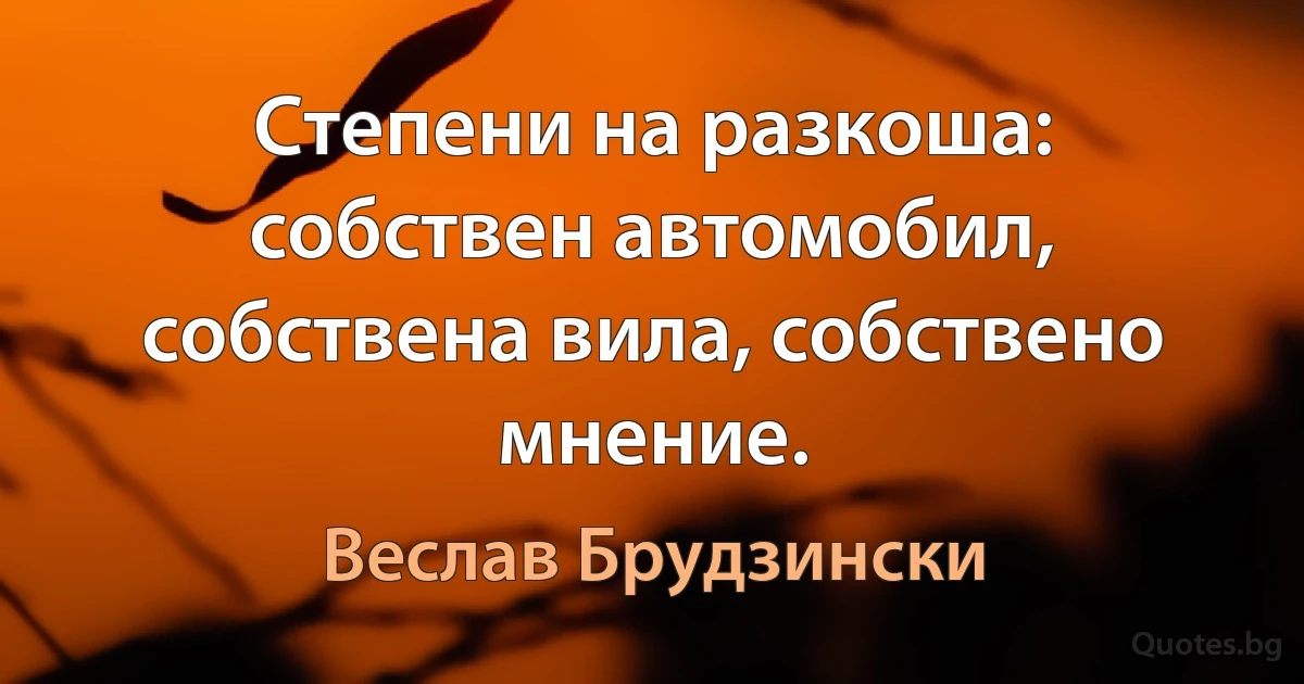 Степени на разкоша: собствен автомобил, собствена вила, собствено мнение. (Веслав Брудзински)